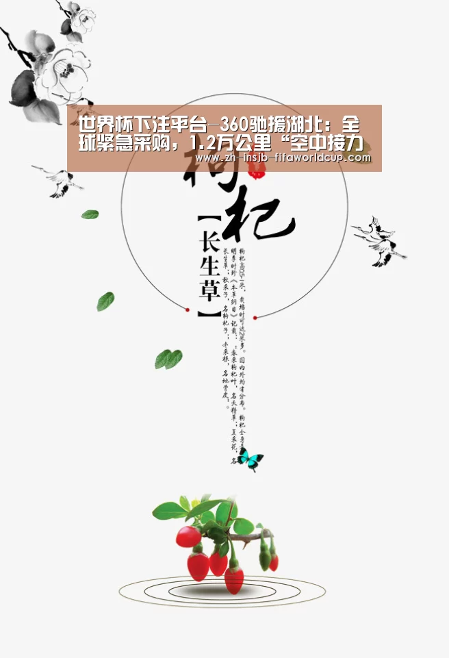 世界杯下注平台-360驰援湖北：全球紧急采购，1.2万公里“