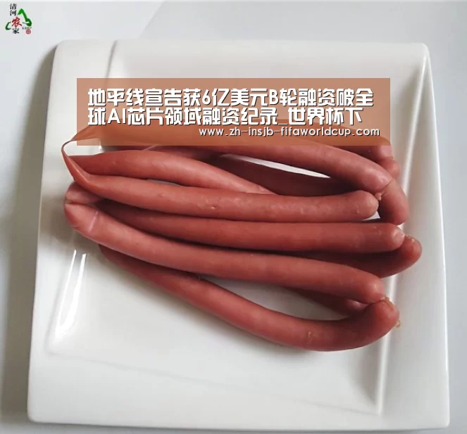 地平线宣告获6亿美元B轮融资破全球AI芯片领域融资纪录_世界