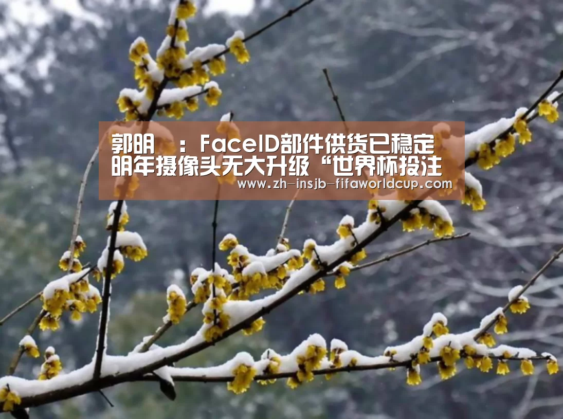 郭明錤：FaceID部件供货已稳定明年摄像头无大升级“世界杯