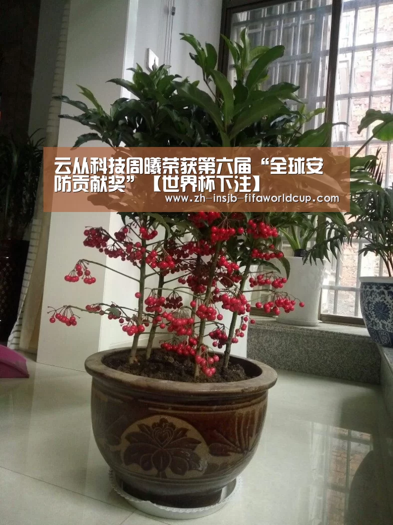 云从科技周曦荣获第六届“全球安防贡献奖”【世界杯下注】(图4) 世界杯下注