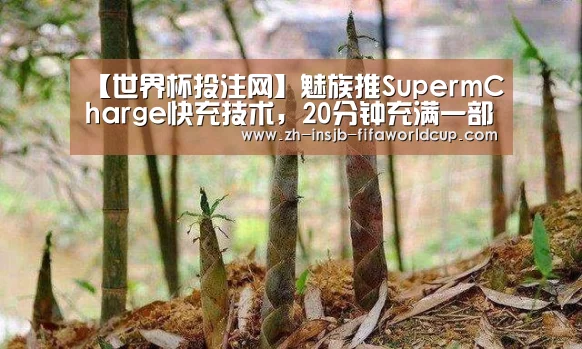 【世界杯投注网】魅族推SupermCharge快充技术，20
