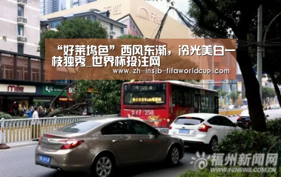 “好莱坞色”西风东渐，冷光美白一枝独秀_世界杯投注网