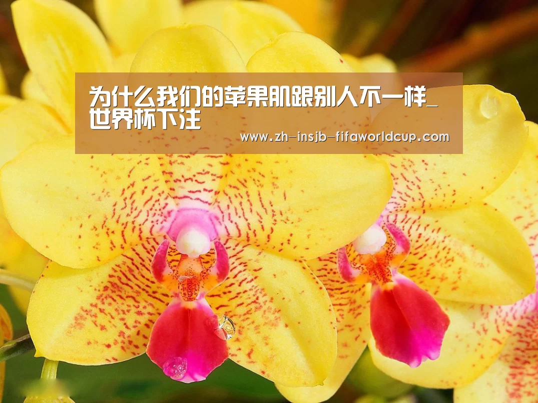 为什么我们的苹果肌跟别人不一样_世界杯下注
